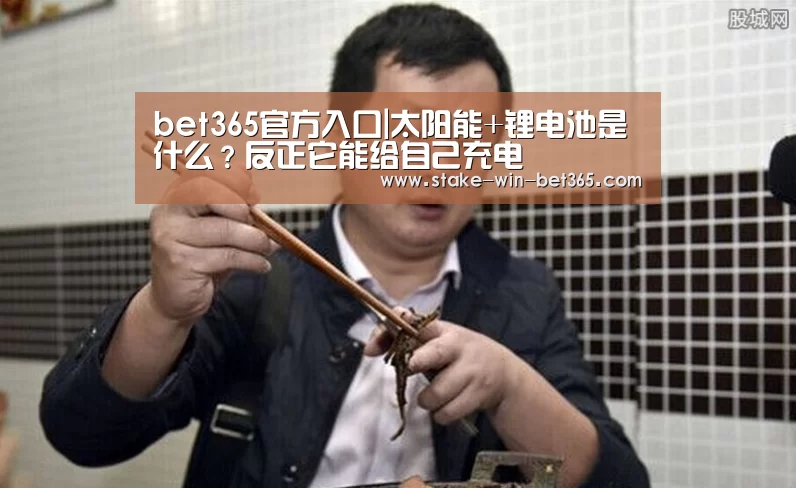 bet365官方入口|太阳能+锂电池是什么？反正它能给自己充电