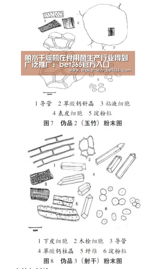脱水干燥机在食用菌生产行业得到广泛推广:bet365官方入口(图1) bet365官方入口